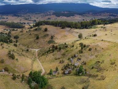 House For Sale - TAS - Mole Creek - 7304 - Stunning Land with Farmhouse  (Image 2)