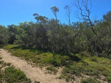 Residential Block For Sale - VIC - Hollands Landing - 3862 - CAMPING BLOCK IN UNIQUE LOCATION  (Image 2)