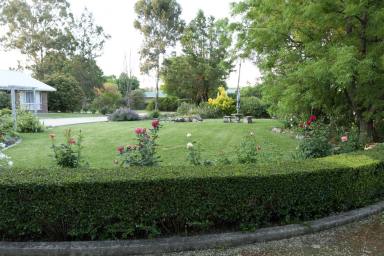 Acreage/Semi-rural For Sale - NSW - Inverell - 2360 - Serene Lifestyle Living - A Leafy Oasis  (Image 2)