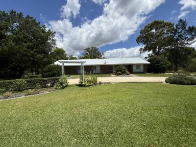 Acreage/Semi-rural For Sale - NSW - Inverell - 2360 - Serene Lifestyle Living - A Leafy Oasis  (Image 2)