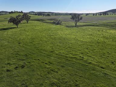 Mixed Farming For Sale - NSW - Mangoplah - 2652 - Prime Undulating Versatile Country  (Image 2)