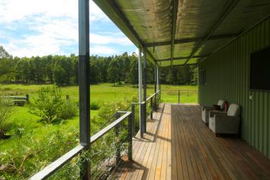 House For Sale - NSW - Tabulam - 2469 - MOTIVATED VENDOR  (Image 2)