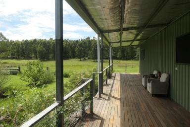 House For Sale - NSW - Tabulam - 2469 - NATURAL CHARM  (Image 2)