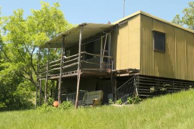 Lifestyle For Sale - NSW - Rocky River - 2372 - UNDER OFFER (Image 2)