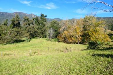 Lifestyle For Sale - NSW - Rocky River - 2372 - BEACH IN THE MOUNTAINS  (Image 2)