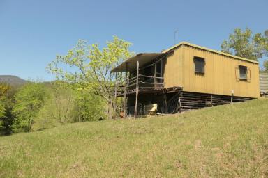 Lifestyle For Sale - NSW - Rocky River - 2372 - NED KELLYS HIDE OUT  (Image 2)