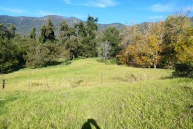 Lifestyle For Sale - NSW - Rocky River - 2372 - BEACH IN THE MOUNTAINS  (Image 2)