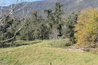 Lifestyle For Sale - NSW - Rocky River - 2372 - PEACE AND QUIET AT LAST !  (Image 2)