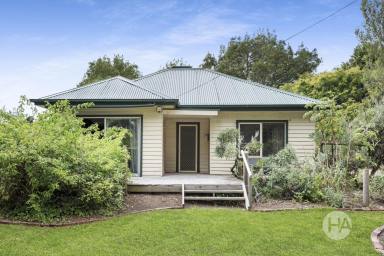 Acreage/Semi-rural Sold - VIC - Main Ridge - 3928 - Classic Character, Sprawling Space, Incredible Potential  (Image 2)