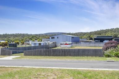 Residential Block For Sale - TAS - Coles Bay - 7215 - Fully Fenced & Powered - Relax Now, Build When You're Ready!  (Image 2)