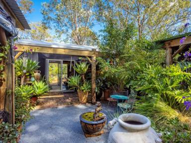 House For Sale - NSW - Tinonee - 2430 - ONE FOR THE CREATIVE OR NATURE LOVER  (Image 2)