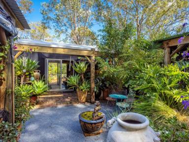 House Sold - NSW - Tinonee - 2430 - ONE FOR THE CREATIVE OR NATURE LOVER  (Image 2)