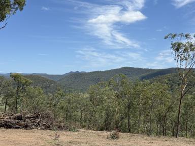 Lifestyle For Sale - NSW - Paynes Crossing - 2325 - Diverse Acreage with Wollombi Brook Frontage  (Image 2)