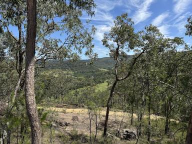 Lifestyle For Sale - NSW - Paynes Crossing - 2325 - Diverse Acreage with Wollombi Brook Frontage  (Image 2)