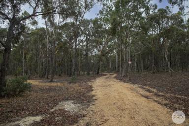 Residential Block For Sale - VIC - Berringa - 3351 - 94 Acres Approx Of Tranquil Bushland With Planning Permit  (Image 2)