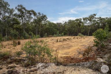 Residential Block For Sale - VIC - Berringa - 3351 - 94 Acres Approx Of Tranquil Bushland With Planning Permit  (Image 2)