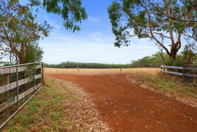 Residential Block For Sale - VIC - Gorae West - 3305 - Perfect Grazing Block  (Image 2)