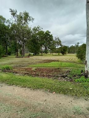 House For Sale - QLD - Millstream - 4888 - More then meets the eye with this gem  (Image 2)