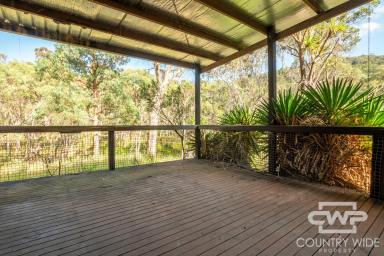 Lifestyle For Sale - NSW - Glen Innes - 2370 - Wildlife Haven - A Naturalist's Dream  (Image 2)