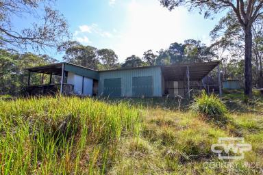 Lifestyle For Sale - NSW - Glen Innes - 2370 - Wildlife Haven - A Naturalist's Dream  (Image 2)