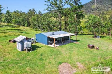 Livestock Auction - NSW - Tenterfield - 2372 - 'Kochs' - Eastern Breeding Country.....  (Image 2)