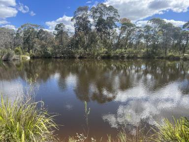 Other (Rural) For Sale - NSW - Bungonia - 2580 - 100 Acre Private Acres, Dwelling Entitlement, Dam, Sheds, Road Frontage,  (Image 2)