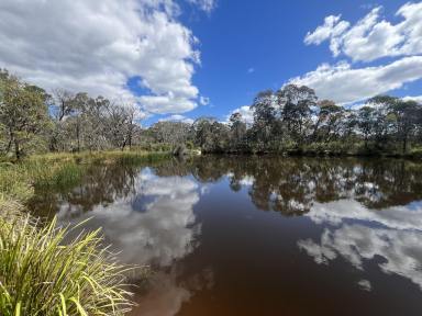 Other (Rural) For Sale - NSW - Bungonia - 2580 - 100 Acre Private Adventureland, Dwelling Entitlement, Mainly Bushland, Cleared Areas, Driving Tracks, Ideal For Dirt Bikes & Recreational Activities,  (Image 2)