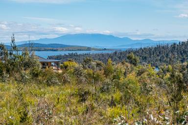 Residential Block For Sale - TAS - Murdunna - 7178 - North facing 1ha dream allotment with waterviews  (Image 2)