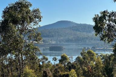 Residential Block For Sale - TAS - Murdunna - 7178 - North facing 1ha dream allotment with waterviews  (Image 2)