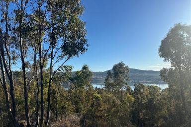 Residential Block For Sale - TAS - Murdunna - 7178 - North facing 1ha dream allotment with waterviews  (Image 2)