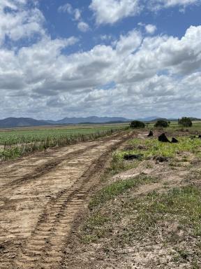 Mixed Farming For Sale - QLD - Balberra - 4740 - 160 acres, close to Mackay, Sarina and the Beaches.  (Image 2)