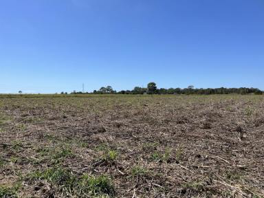 Mixed Farming Sold - QLD - Balberra - 4740 - 160 acres, close to Mackay, Sarina and the Beaches.  (Image 2)