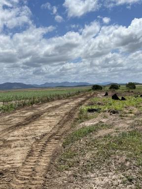 Mixed Farming Sold - QLD - Balberra - 4740 - 160 acres, close to Mackay, Sarina and the Beaches.  (Image 2)