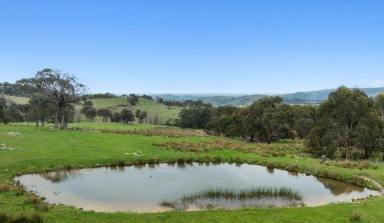 Mixed Farming For Sale - VIC - Kithbrook - 3666 - Blue-Chip Grazing Land with Planning Permit, Strathbogie Ranges  (Image 2)