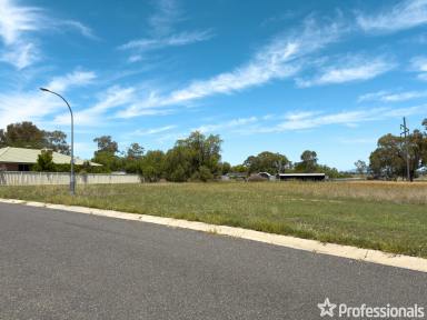 Residential Block For Sale - NSW - West Tamworth - 2340 - Residential Land For Sale - West Tamworth  (Image 2)