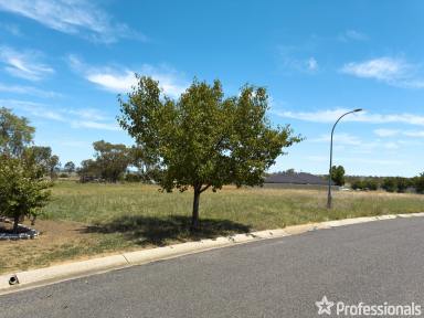 Residential Block For Sale - NSW - West Tamworth - 2340 - Residential Land For Sale - West Tamworth  (Image 2)