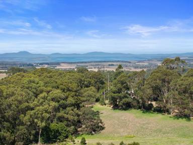 Residential Block For Sale - VIC - Foster - 3960 - Stunning views from the mountains to the sea  (Image 2)