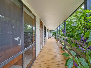 House For Sale - VIC - Toora - 3962 - Right in town with rural views  (Image 2)
