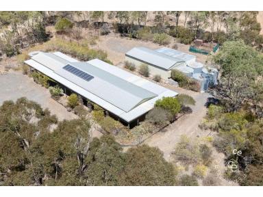 Acreage/Semi-rural For Sale - SA - Mount Pleasant - 5235 - Prime lifestyle property in a great location  (Image 2)