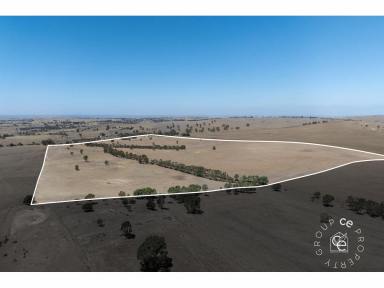 Acreage/Semi-rural For Sale - SA - Mount Pleasant - 5235 - Prime lifestyle property in a great location  (Image 2)