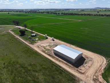 Mixed Farming For Sale - NSW - Wagga Wagga - 2650 - Prime Irrigation Expansion Opportunity  (Image 2)