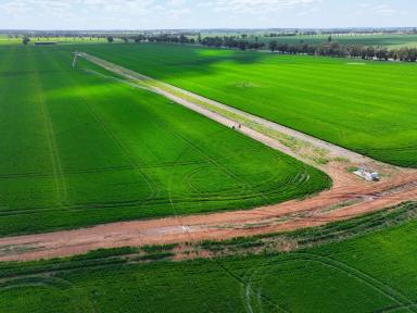 Mixed Farming For Sale - NSW - Wagga Wagga - 2650 - Prime Irrigation Expansion Opportunity  (Image 2)