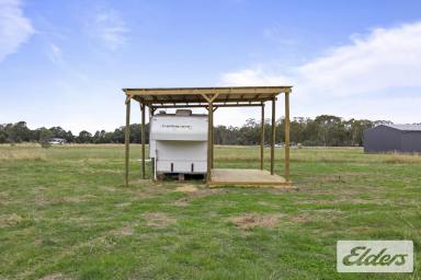 Lifestyle For Sale - VIC - Redbank - 3477 - Tranquil 5.31-Acre Retreat in the Heart of the Pyrenees  (Image 2)