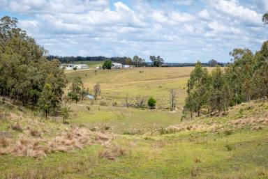 Lifestyle For Sale - NSW - Goulburn - 2580 - PRIVATE OASIS  (Image 2)