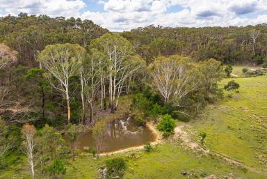 Lifestyle For Sale - NSW - Goulburn - 2580 - PRIVATE OASIS  (Image 2)