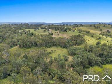 Residential Block For Sale - NSW - Homeleigh - 2474 - 12.5+ Acres with Creek  (Image 2)