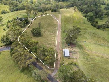 Residential Block For Sale - NSW - Homeleigh - 2474 - Peaceful Vacant Block  (Image 2)
