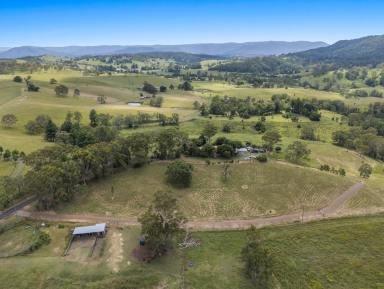 Residential Block For Sale - NSW - Homeleigh - 2474 - Peaceful Vacant Block  (Image 2)