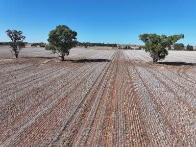 Mixed Farming Tender - NSW - Berry Jerry - 2701 - EXCELLENT STARTERS BLOCK OR A PREFECT ADD ON BLOCK  (Image 2)