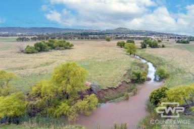 Mixed Farming For Sale - NSW - Glen Innes - 2370 - Prime Basalt Country 5 Minutes from town.  (Image 2)